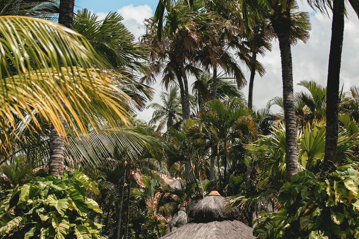 Ocapora Hotel All Inclusive Pôrto das Galinhas 外观 照片